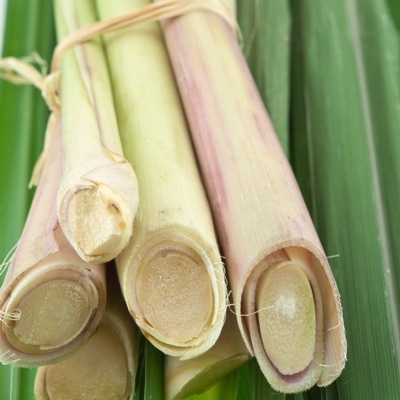 Lemongrass