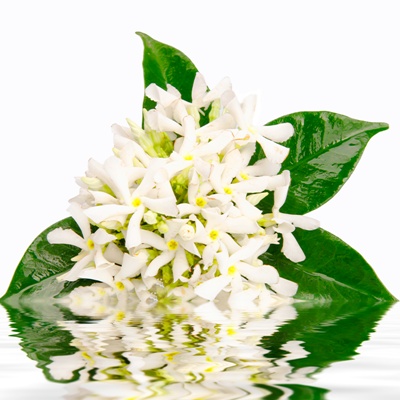 Neroli