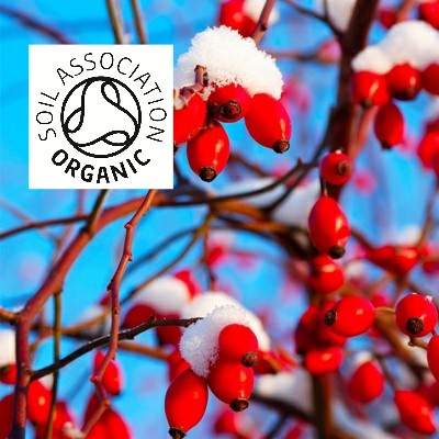 Organic Rosehip