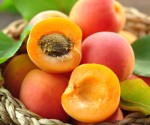 Apricot