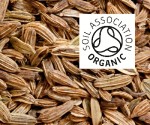 Organic Fennel Seed