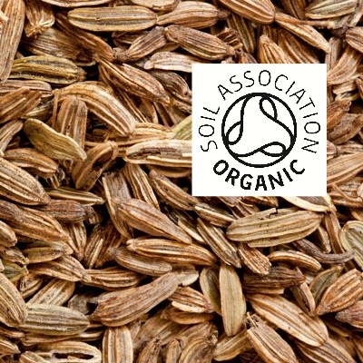 Organic Fennel Seed