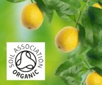 Organic Lemon