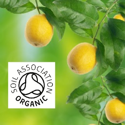 Organic Lemon