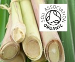 Organic Lemongrass