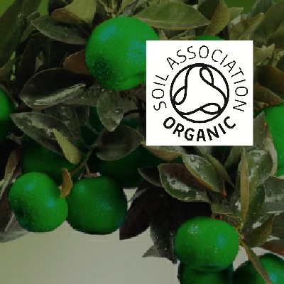 Organic Mandarin Green