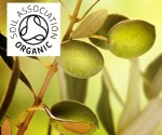 Organic Olive