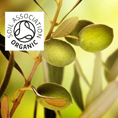 Organic Olive