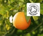 Organic Orange