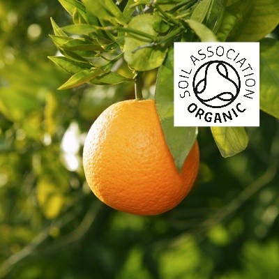 Organic Orange