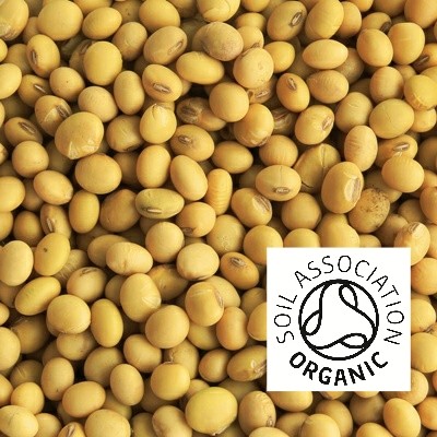 Organic Soya bean