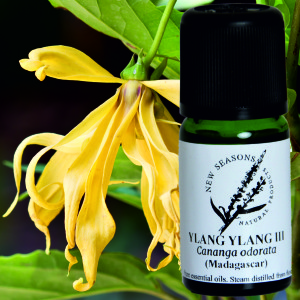 Ylang ylang