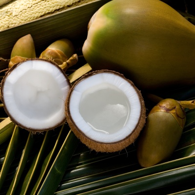 Whole and opened coconuts on palm leaf